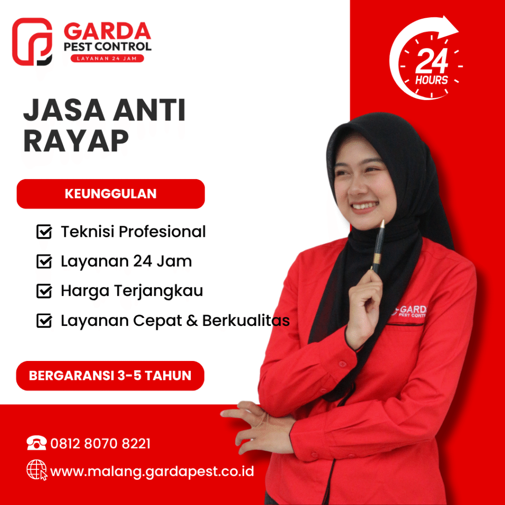 Jasa Basmi Rayap di Malang Murah dan Bergaransi Hasil Efektif