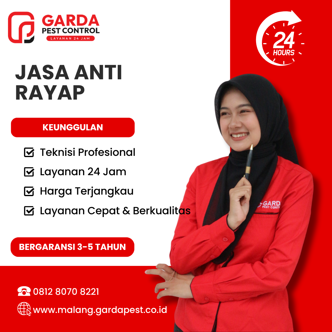 Jasa Basmi Rayap di Malang Murah dan Bergaransi Hasil Efektif