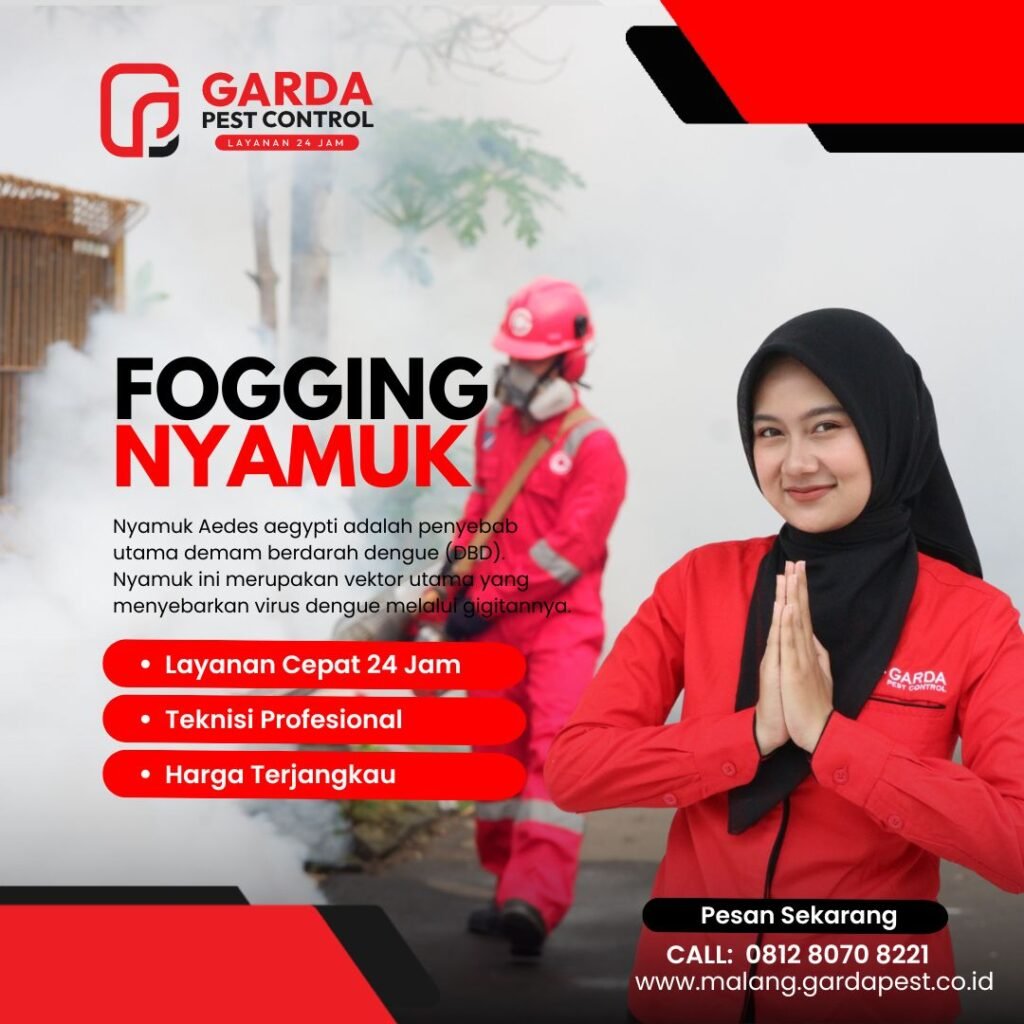 Jasa Fogging DBD di Malang Basmi Nyamuk Sampai Tuntas