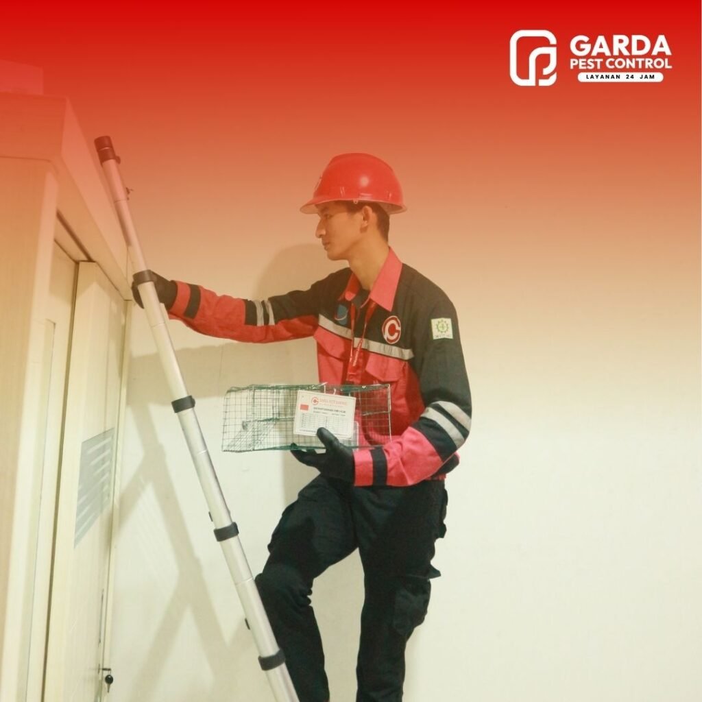 Jasa Pembasmi Cicak di Malang Metode Lengkap Bergaransi