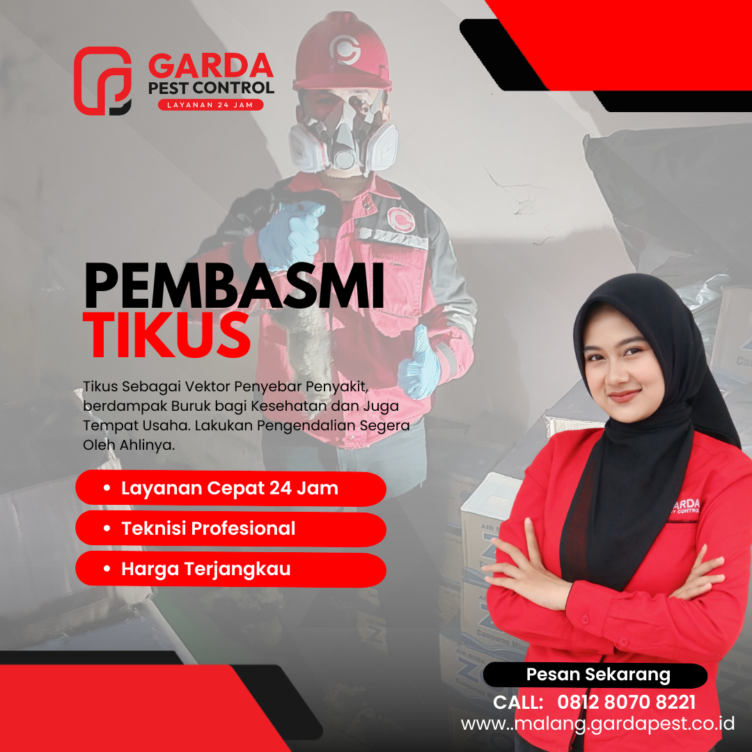 Jasa Pembasmi Tikus di Malang Bisa di Panggil 24 Jam
