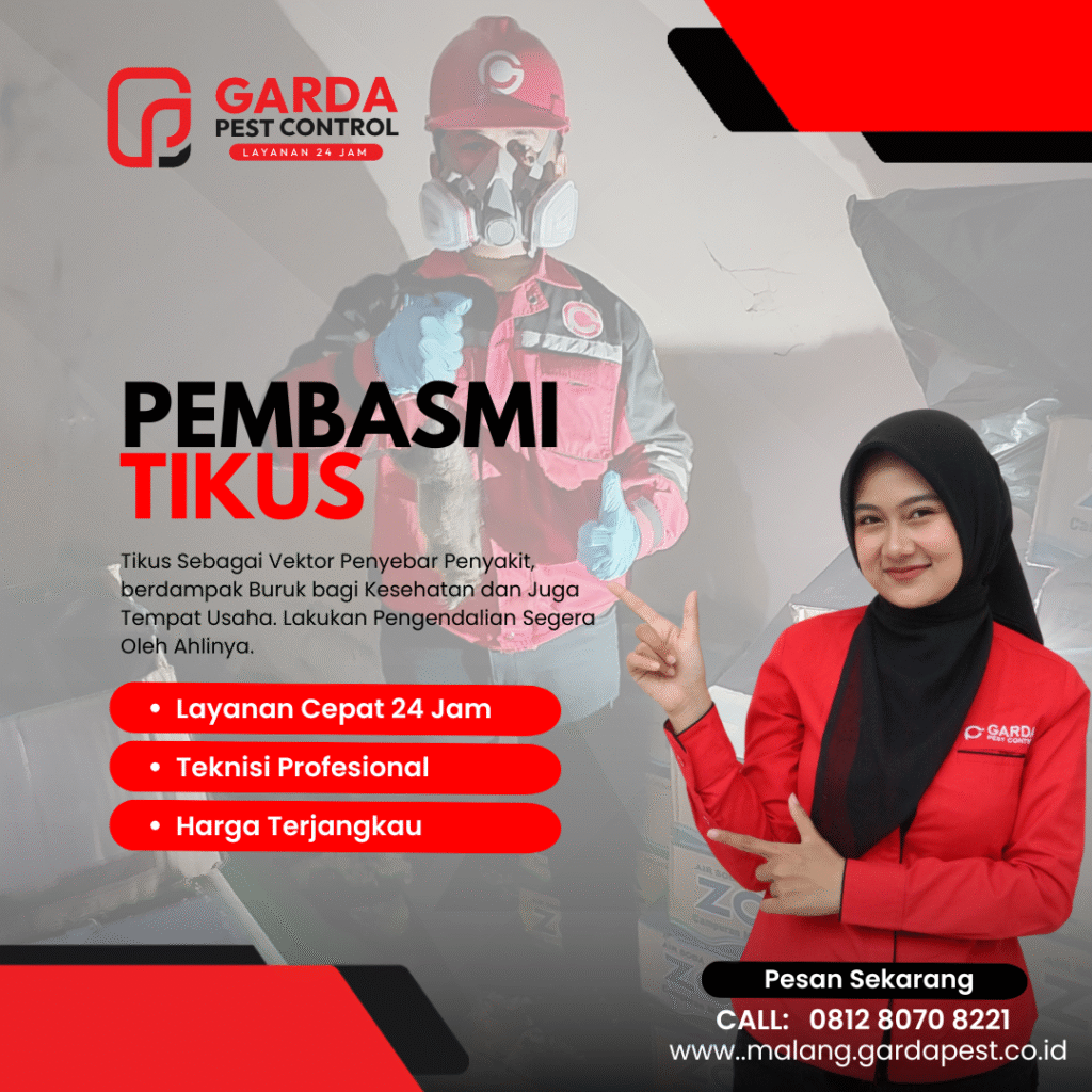 Jasa Pengusir Tikus di Malang Profesional Basmi Sampai Tuntas