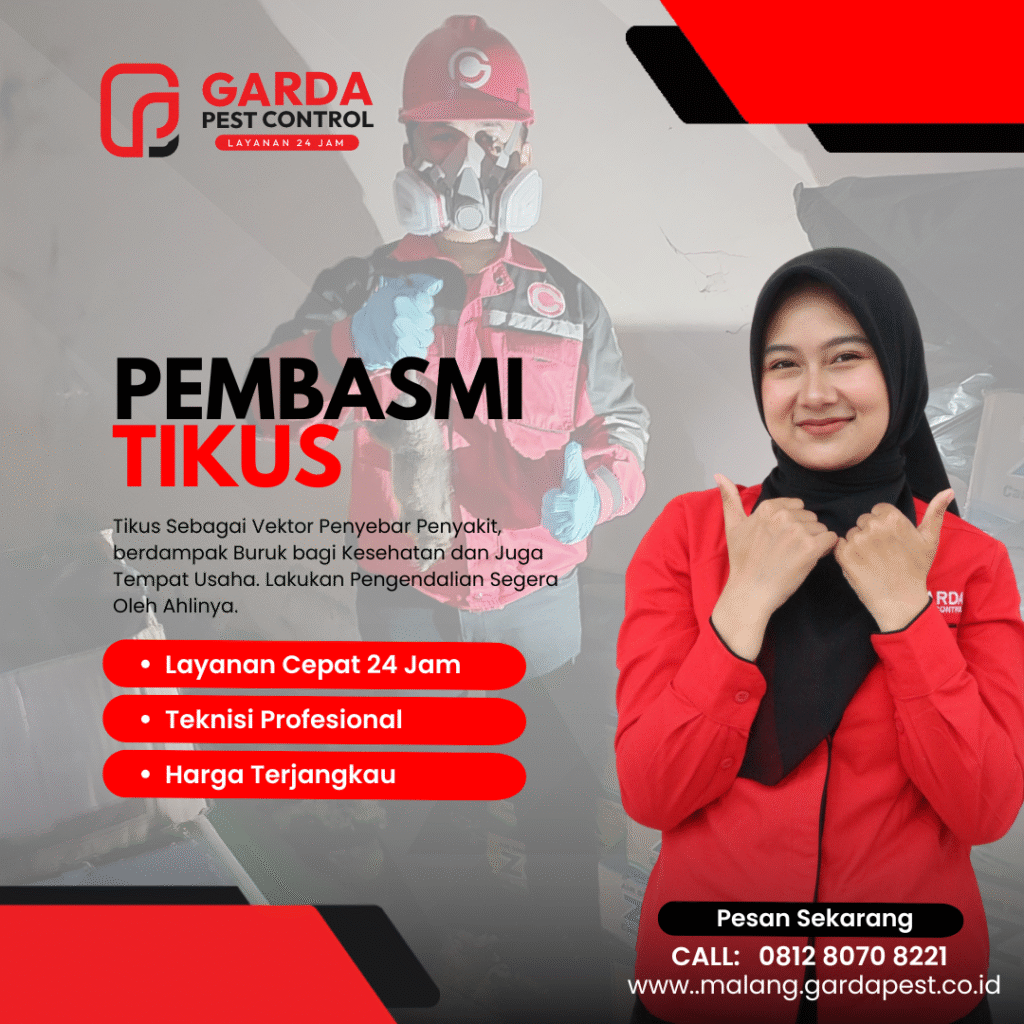 Jasa Basmi Tikus di Malang Terbaik Panggilan Cepat 24 Jam