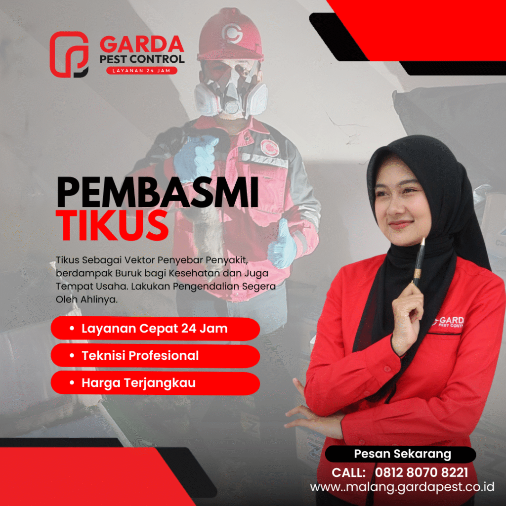 Basmi Tikus Gudang & Toko? Hubungi Ahlinya!