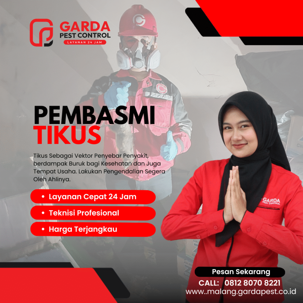 Tukang Basmi Tikus di Malang Panggilan Cepat Aman dan Tuntas