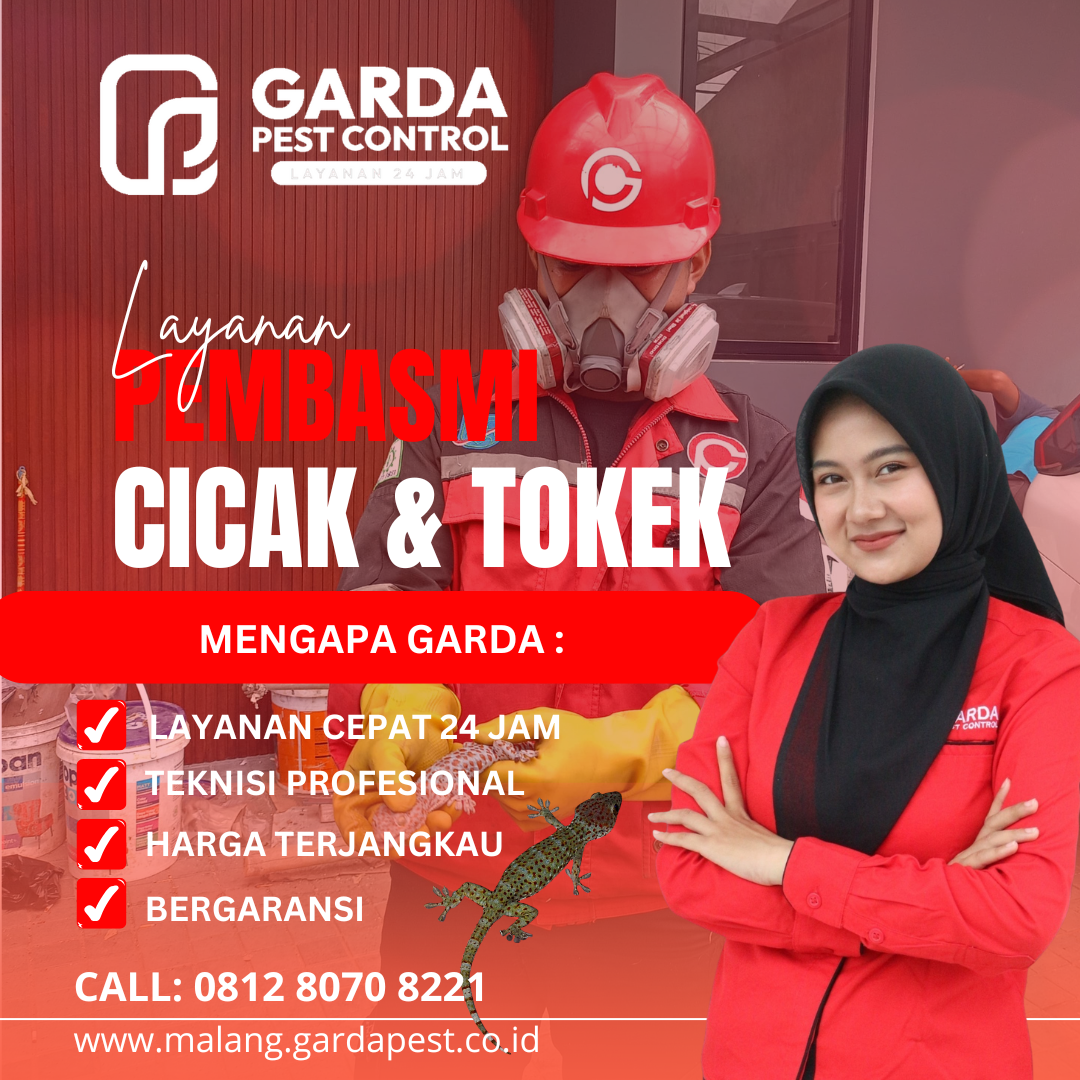 Jasa Pembasmi Cicak Terdekat di Malang