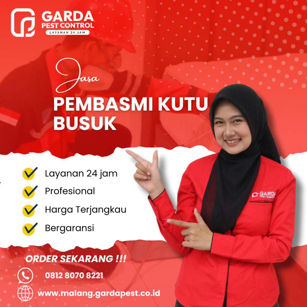 Jasa Basmi Kutu Busuk di Malang Bergaransi dan Proses Cepat