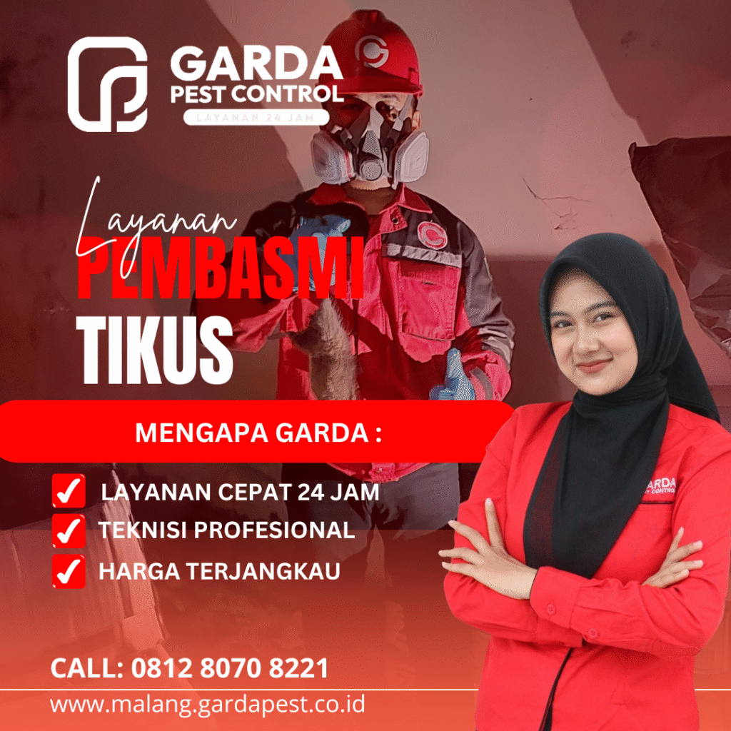 Jasa Pembasmi Tikus di Malang