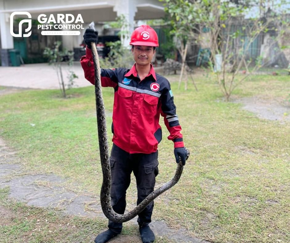 Garda Pest Control Malang: Basmi Tuntas Hama!