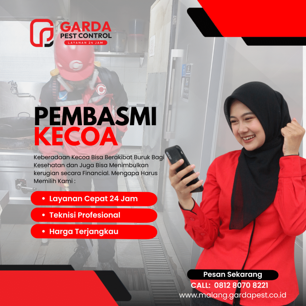 Jasa Basmi Kecoa di Mobil Area Malang Bongkar Jok & Karpet