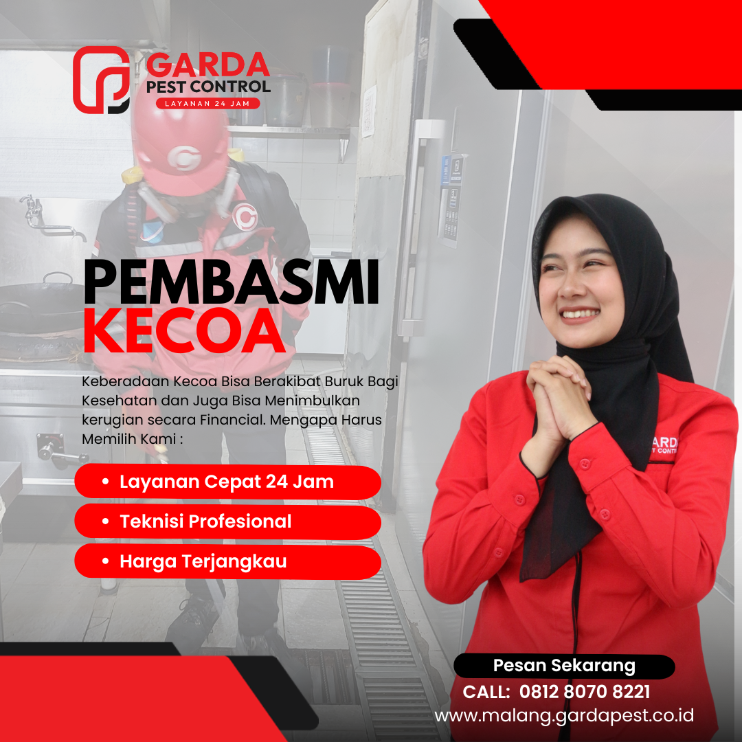 Jasa Basmi Kecoa di Malang untuk Mobil Garansi 3 Bulan
