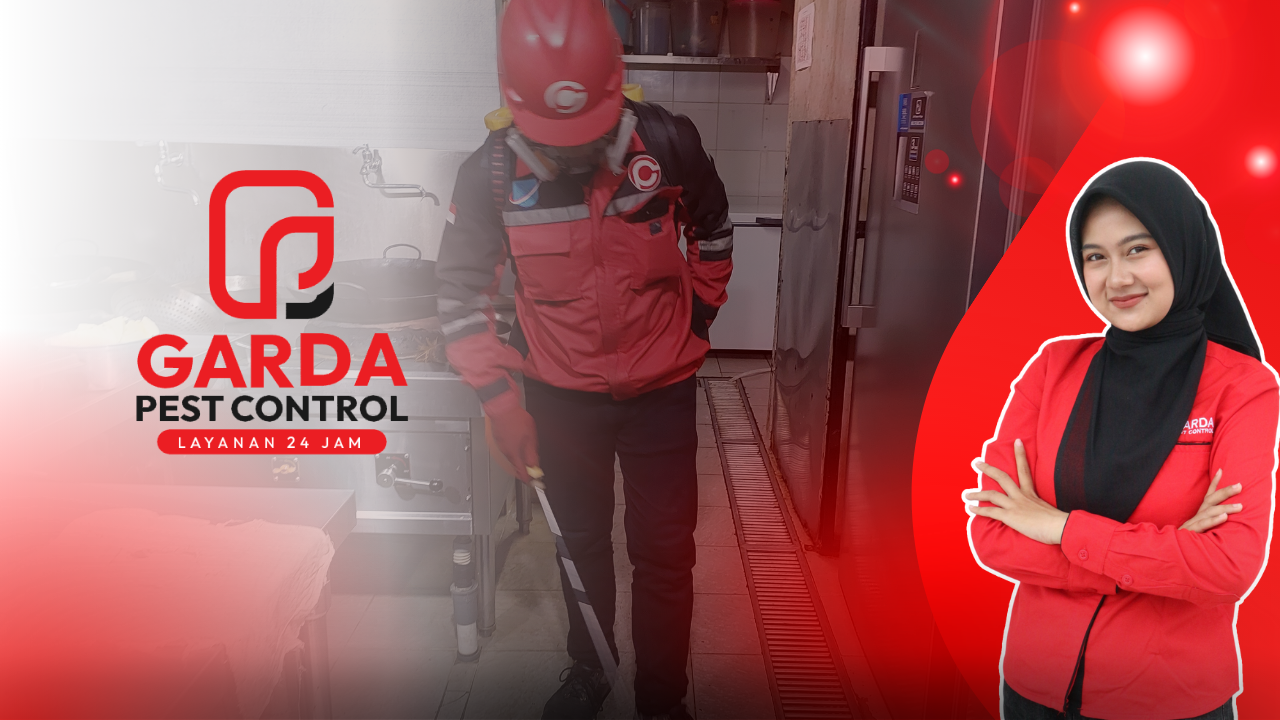 Jasa Pembasmi Kecoa di Apartemen Malang Jawa Timur