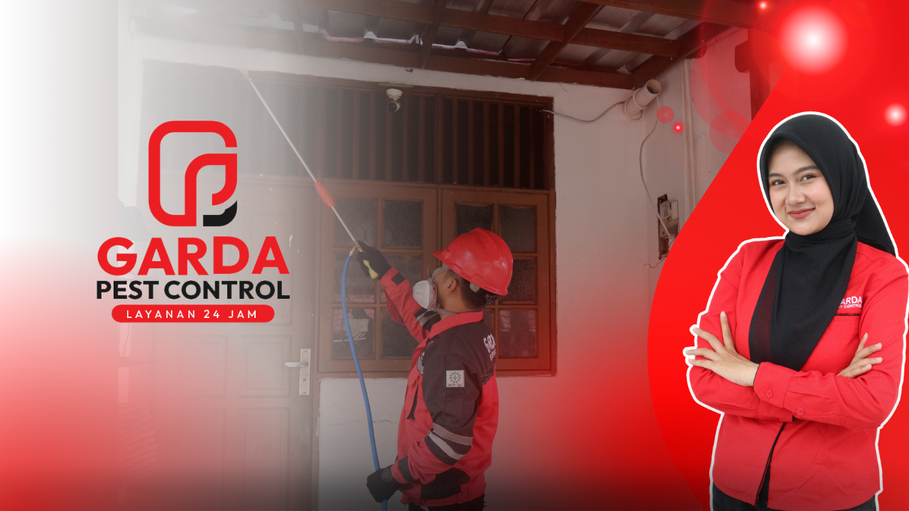 Jasa Pembasmi Kelelawar di Malang Bergaransi 1 Minggu