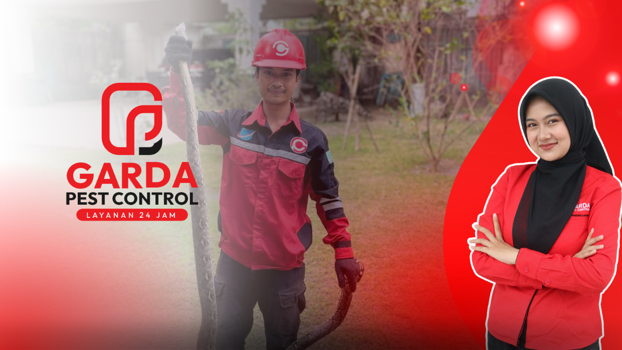 Jasa Pembasmi Hama di Malang Ditangani Ahlinya