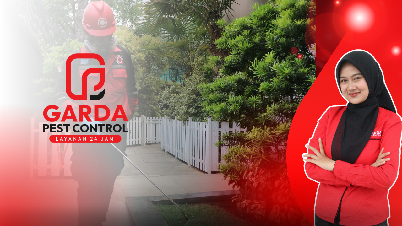 Jasa Pembasmi Tomcat di Malang Cepat Berkualitas