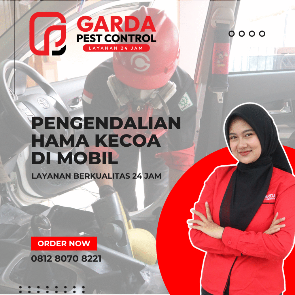Jasa Pembasmi Kecoa di Mobil Malang Tuntas Bergaransi