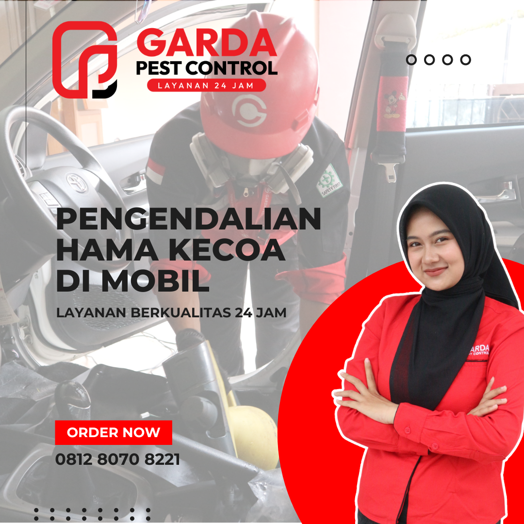 Jasa Pembasmi Kecoa di Mobil Malang Tuntas Bergaransi