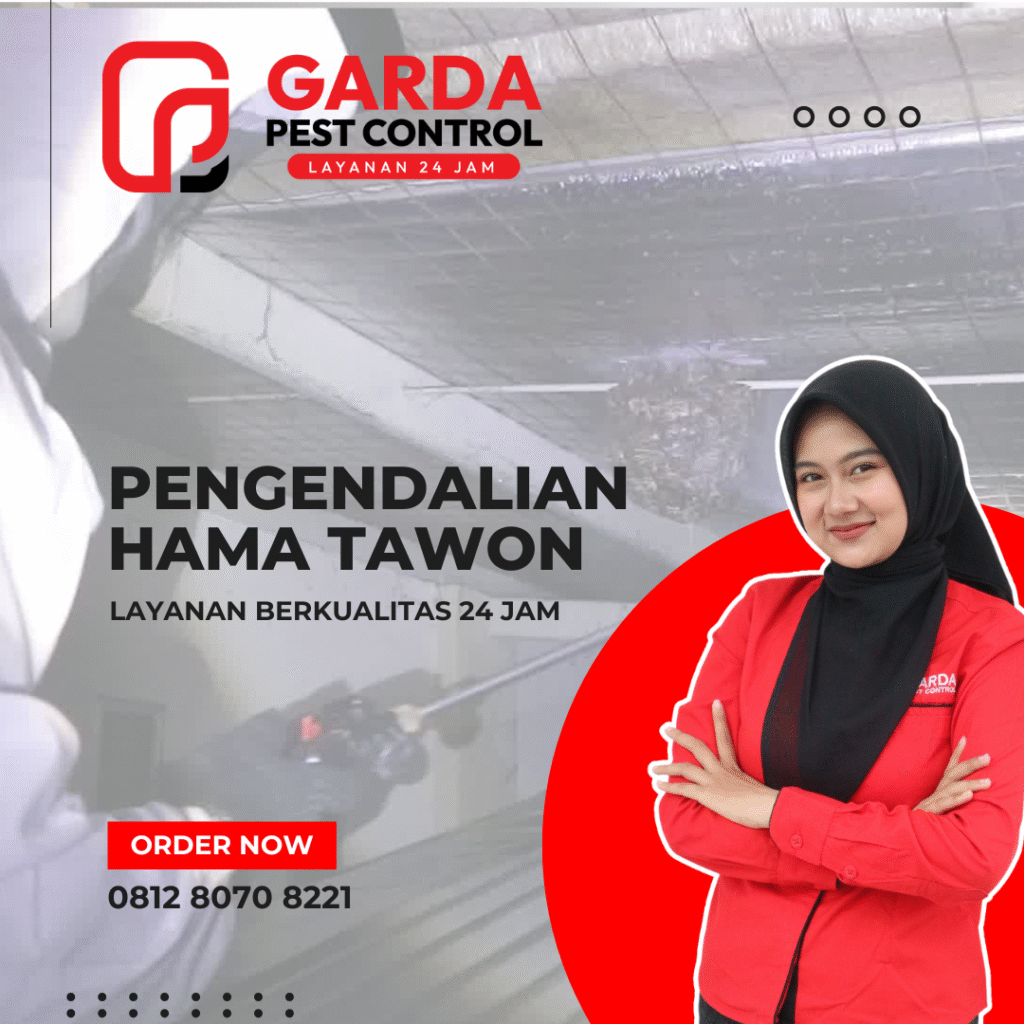 Jasa Pembasmi Tawon di Malang Terbaik dan Terpercaya