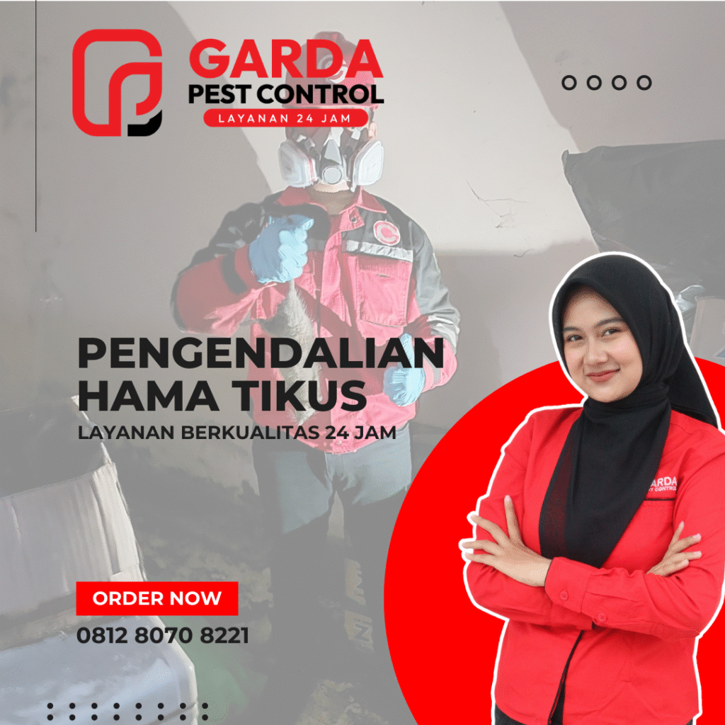Jasa Pembasmi Tikus di Malang Terbaik dan Terpercaya