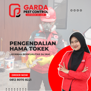 Ahli Tokek Terdekat di Malang