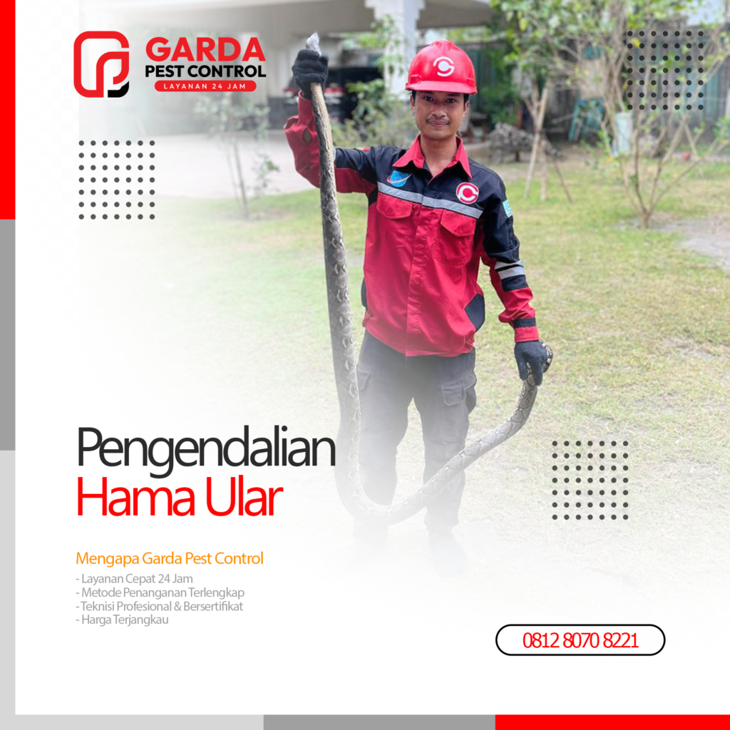 Jasa Pawang Ular Terdekat Pembasmi Ular Profesional di Malang