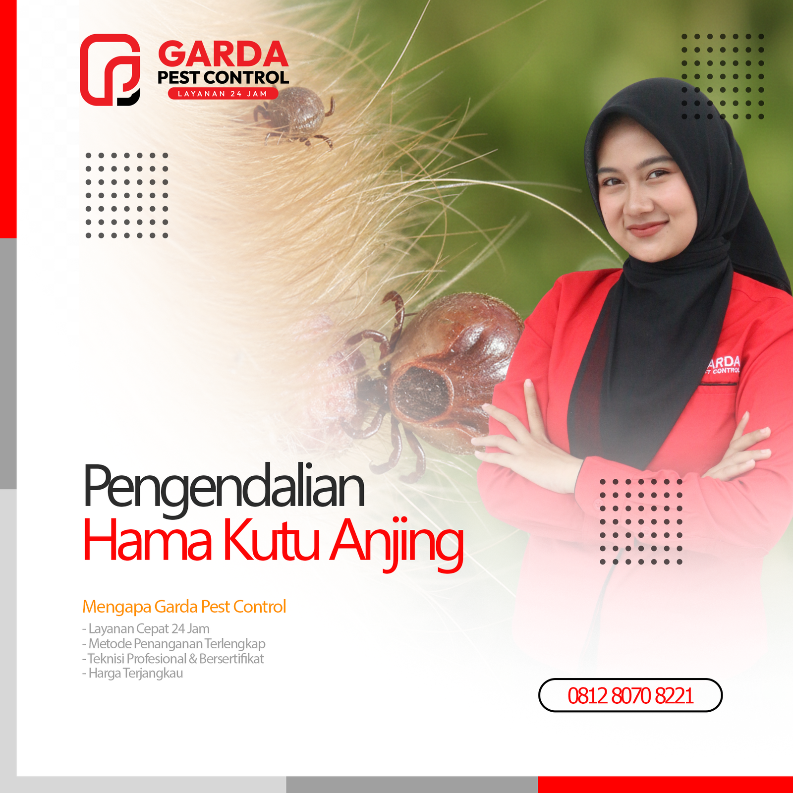 Jasa Pembasmi Caplak Kutu Anjing Terdekat di Malang Garda Pest Control