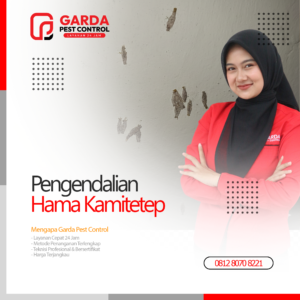 Jasa Pembasmi Kamitetep Terdekat di Malang Garda Pest Control