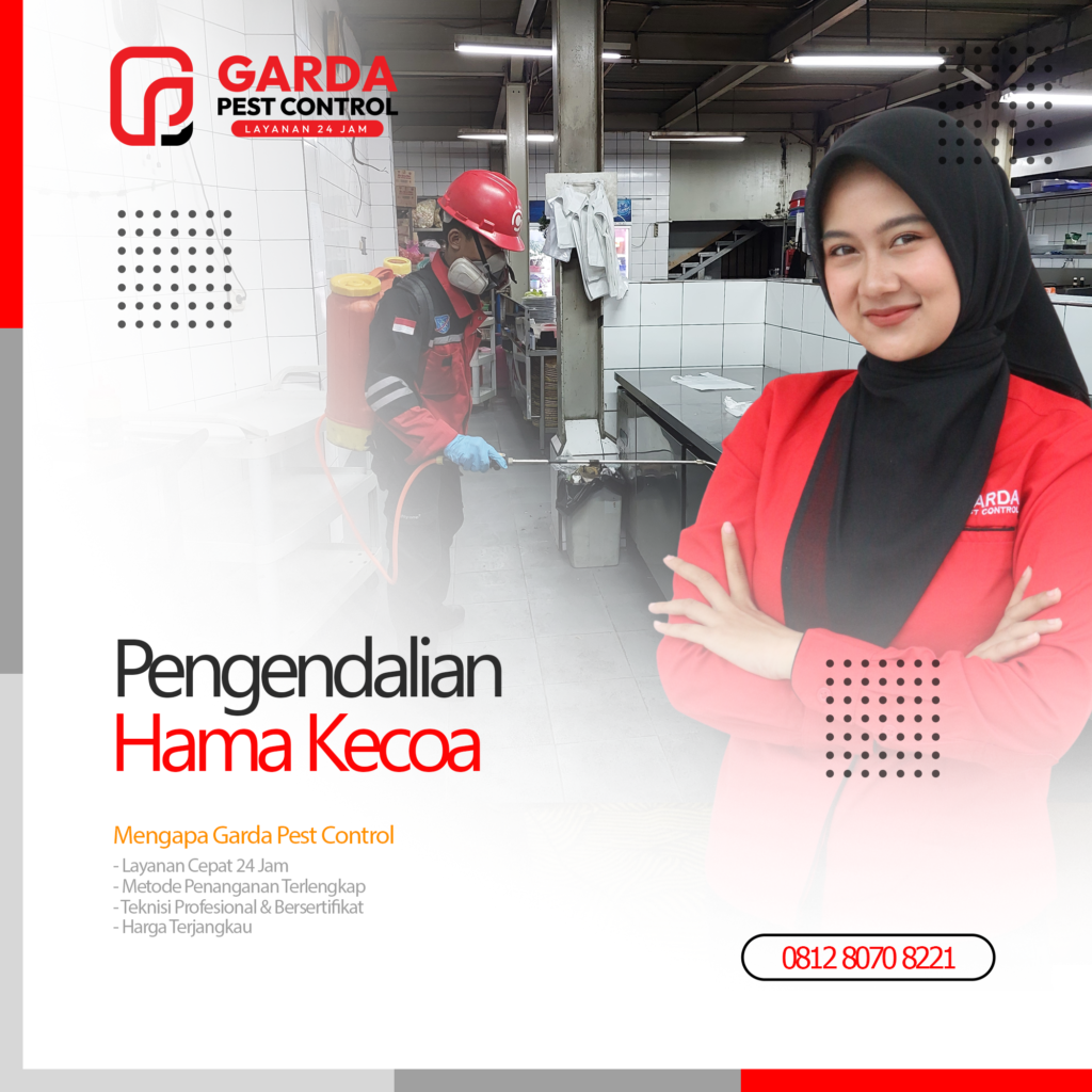 Jasa Pembasmi Kecoa Terdekat & Terbaik di Malang