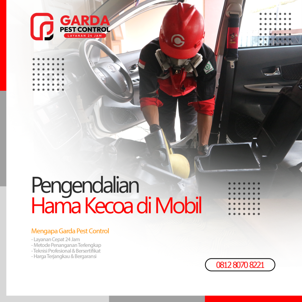 Jasa Pembasmi Kecoa di Mobil Terdekat di Malang