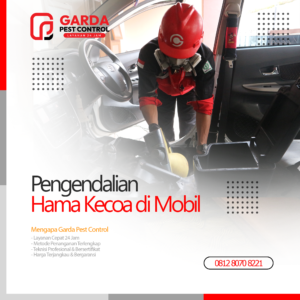 Jasa Pembasmi Kecoa di Mobil Terdekat di Malang