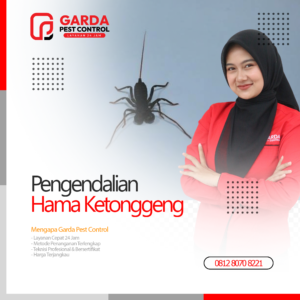 Jasa Pembasmi Ketonggeng Terdekat di Malang Garda Pest Control