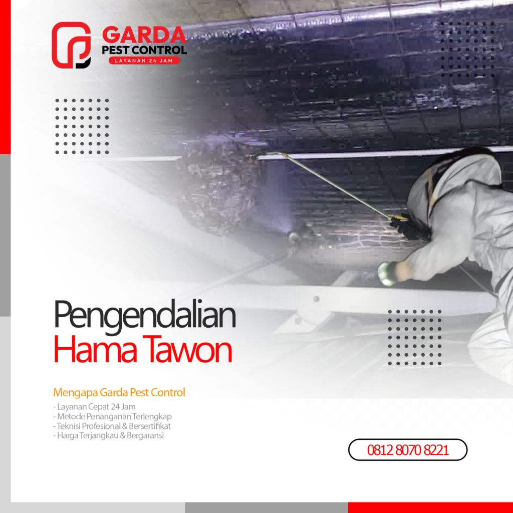 Jasa Pembasmi Sarang Tawon Terdekat di Malang