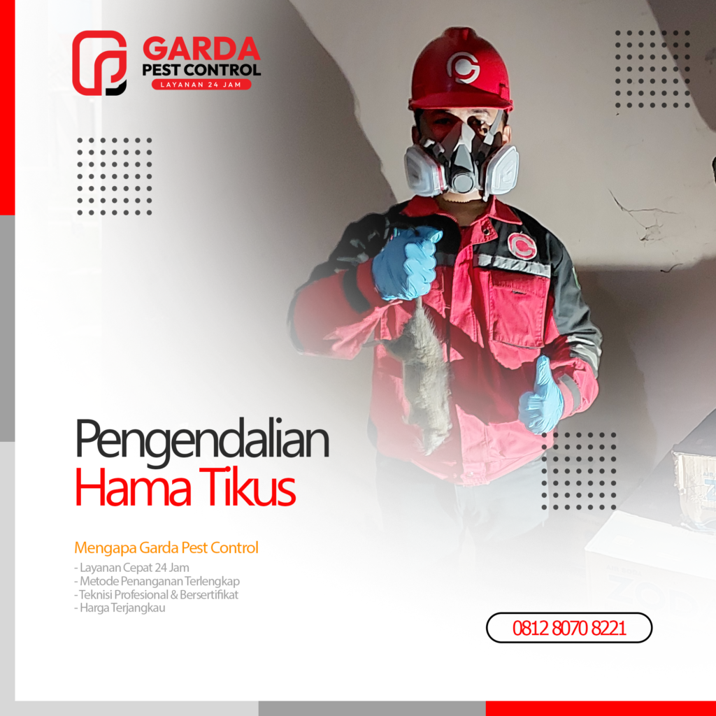 Jasa Pembasmi Tikus Terdekat di Malang Garda Pest Control