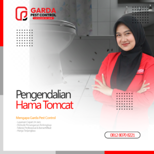 Jasa Pembasmi Tomcat Terdekat di Malang Garda Pest Control