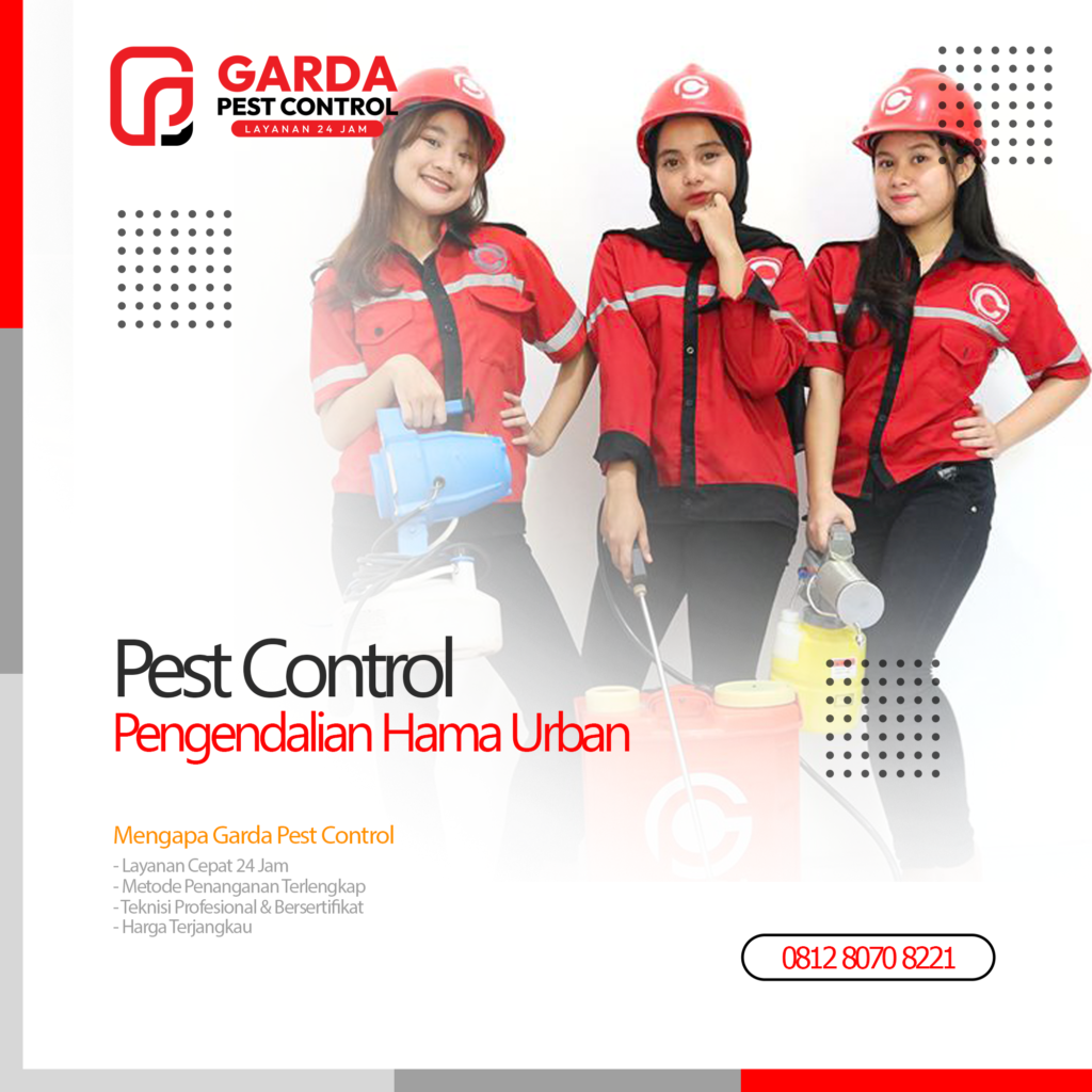Jasa Pest Control Terdekat di Malang Pembasmi Hama Urban