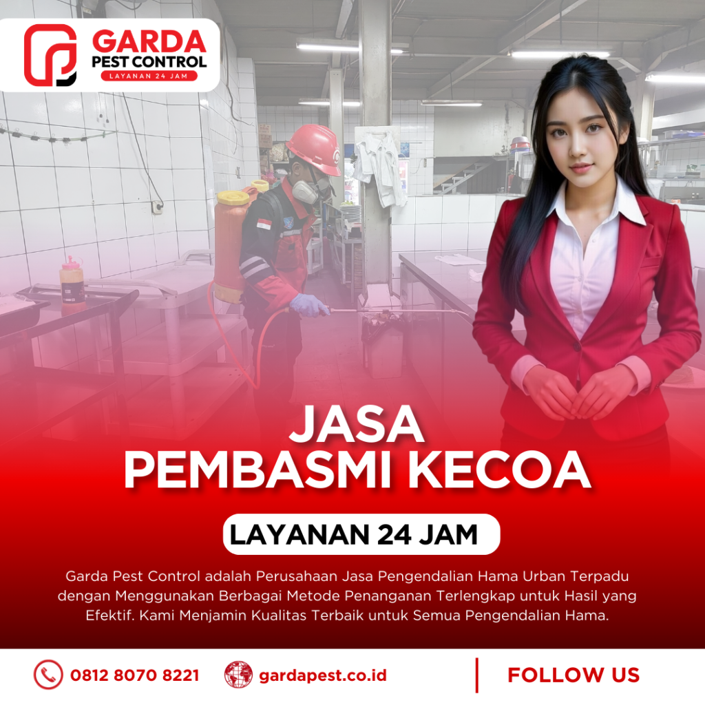 Kontak Jasa Pembasmi Kecoa Malang