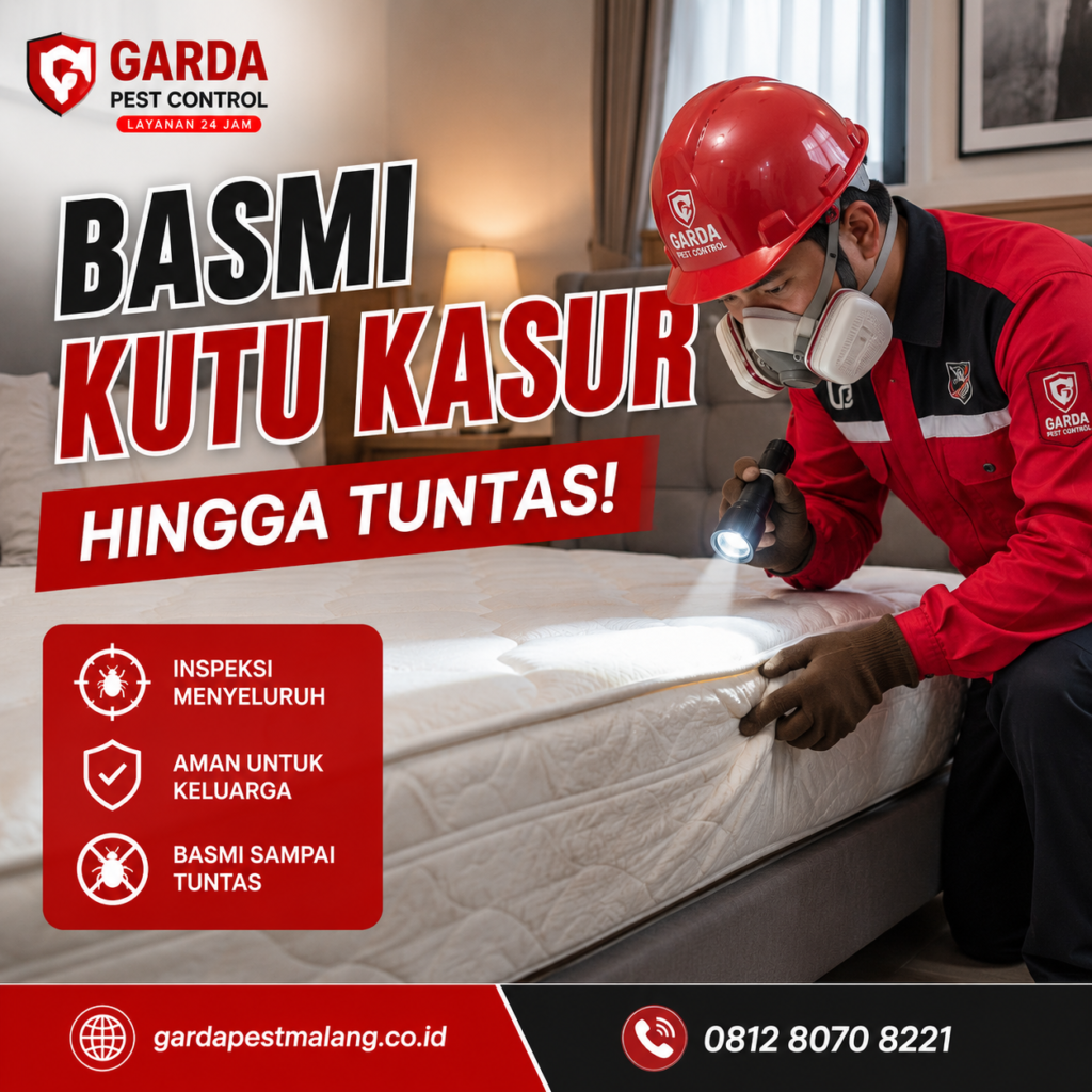Biaya Dan Harga Jasa Pembasmi Kutu Kasur Malang