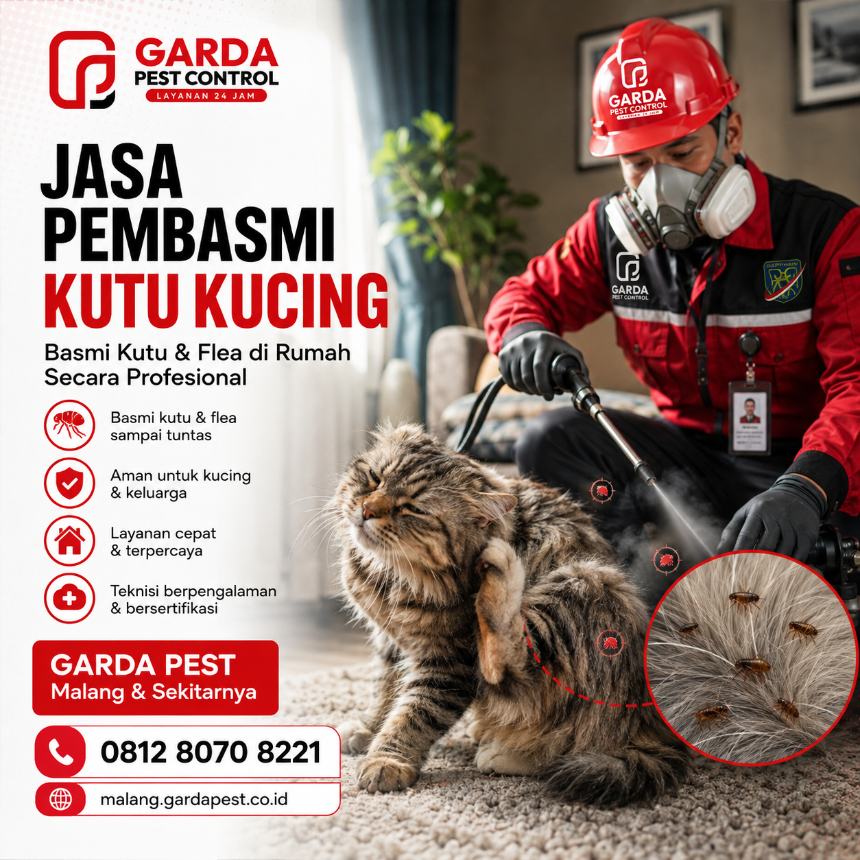Harga Jasa Pembasmi Kutu Kucing di Malang: Terjangkau No.1